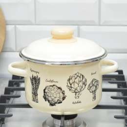 чКастрюля 3,0 л   Броккли слон. кость. 1RС181M/6