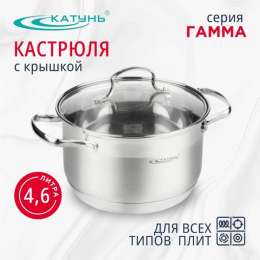 Кастрюля 4,5 л Гамма КТ20-D-22
